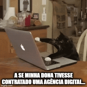 agência digital meme gato