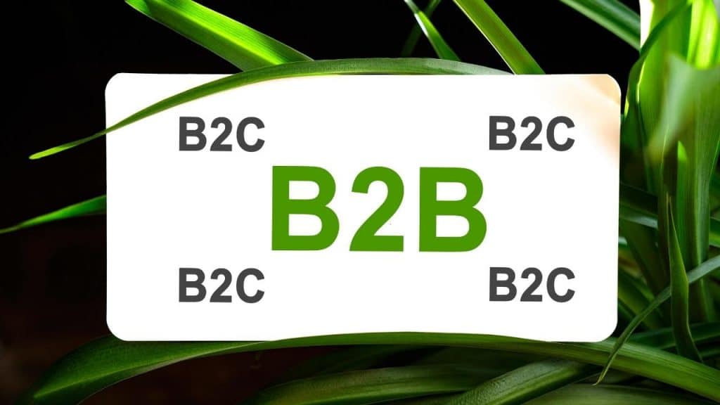 B2b vs b2c